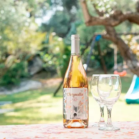 Spathies Apartment Kalogria (Sithonia)