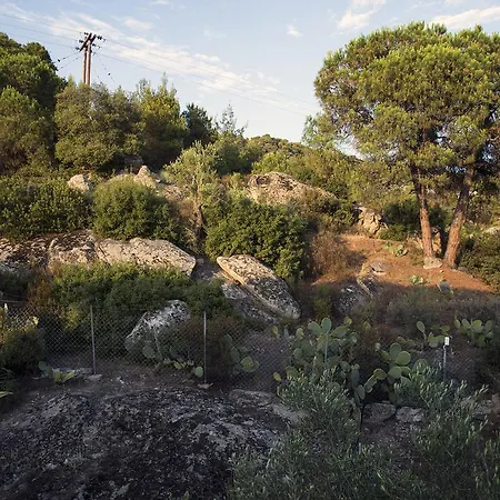 Spathies Kalogria (Sithonia)