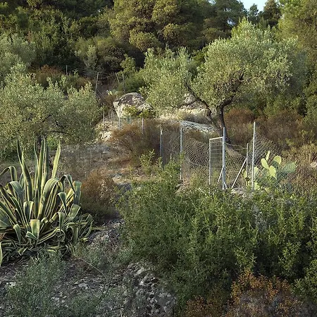 Spathies Kalogria (Sithonia)