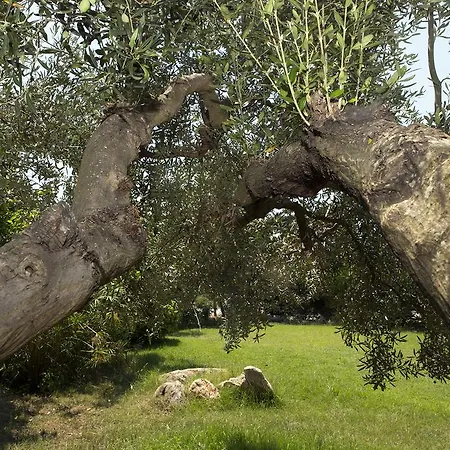 Spathies Apartment *