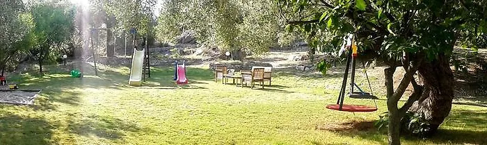 Spathies * 卡洛吉亚