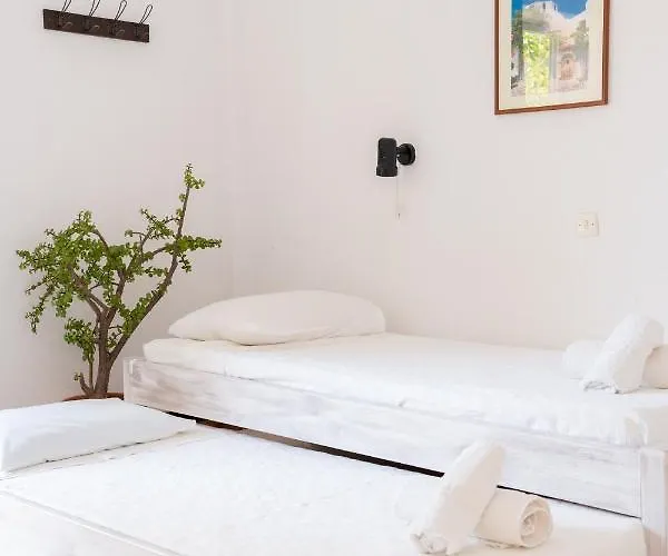 Spathies * 卡洛吉亚