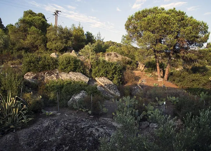 Spathies 卡洛吉亚