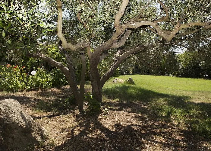 Spathies 公寓 卡洛吉亚