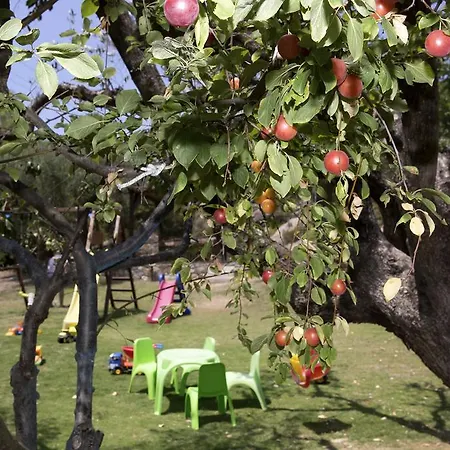 Lejlighed Spathies *